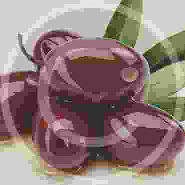 image-30